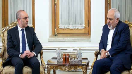 ظریف: ایران تشکیل نهاد متناظر اینستکس را به اروپا اعلام کرده است 