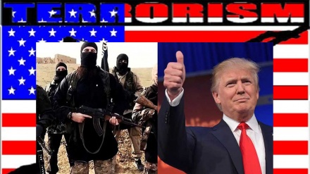 Las novedades geopolíticas de EEUU como promotor del terrorismo en el siglo XXI