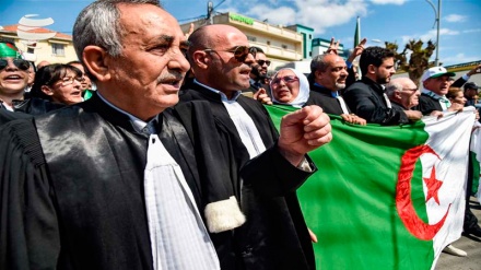 Cezayir'de yargıçlar cumhurbaşkanlığı seçimini boykot edecek
