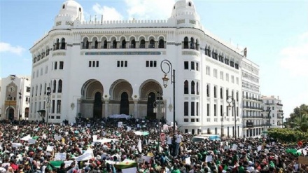 Algerian protests force head of Constitutional Council to resign