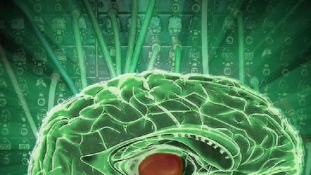 Cervello, imminenti test impianto cerebrale su 5 paralizzati