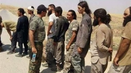 Arrestohet me dhjetëra terrorist të ISIS në veri të Irakut