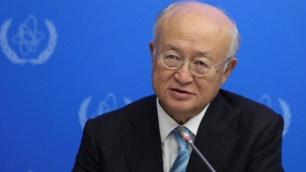 Agencia Atómica de ONU pide a Arabia Saudí salvaguardas para su reactor atómico