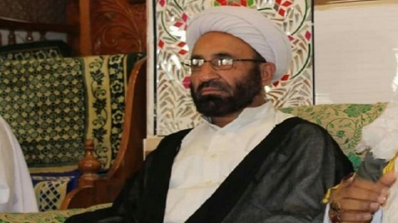 دحضرت امام حسن مجبتی  علیه السلام د سیرت او ځانګړنو په باب له مولانا عابد شاکري سره شوي مرکه دلته آوریدلی شئ