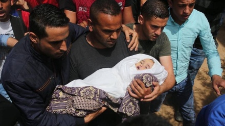 Dampak dan Korban Serangan Israel ke Gaza