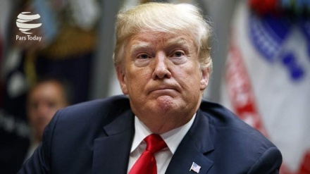 טראמפ, יציג תכנית הגירה חדשה שתכלול אמצעי ביטחון חדשים