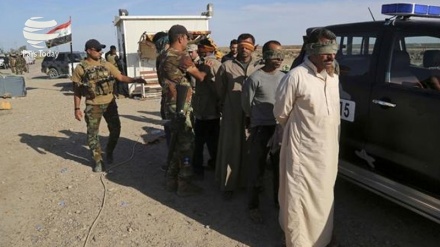 Desmantelan dos bases de Daesh en el oeste de Irak 