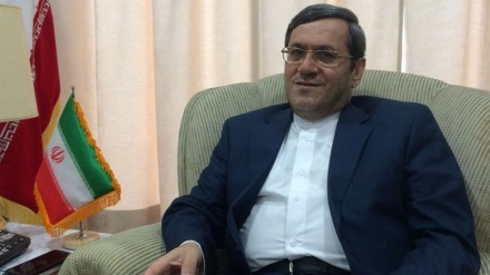 Tres mil empresas iraníes y españolas mantienen cooperación bilateral