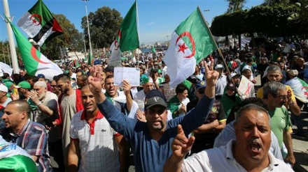 On 12th Friday since partial success of uprising, Algerians rally for more