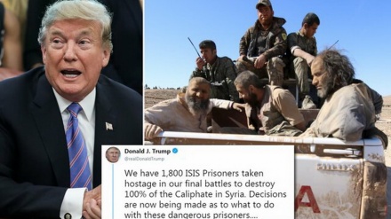 Трамп: европейцы должны принять 1800 арестованных боевиков ДАИШ