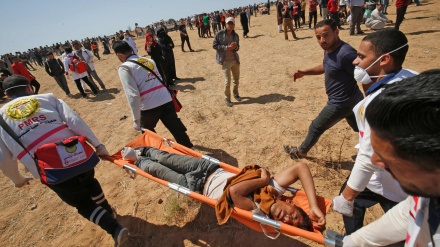 Plagosen 6 palestinezë në protestat kundër konfiskimit të tokave të tyre