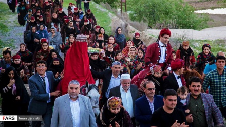 ِCeremoni tradicionale e dasmës në fisin endacak Il Gormanxh në fshatin Lain të qytetit Mashhad në Iran