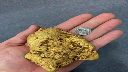 Australia, trovata una pepita d’oro da un chilo e mezzo: vale circa 70mila euro