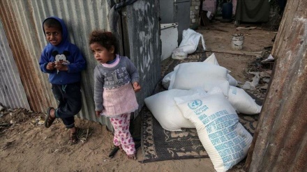 ONU: Un millón de civiles en Gaza pueden no tener comida en junio