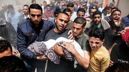 Shtohet numri i martirëve palestinezë nga sulmet e regjimit fëmijvrasës sionist
