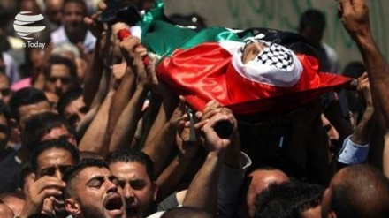  شهادت صدها فلسطینی از زمان روی کار آمدن ترامپ در آمریکا 