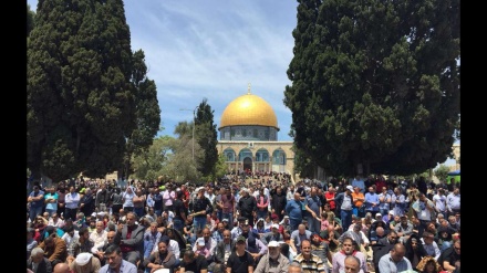 Idul Adha, Jihad Islam Palestina dan Brigade al-Quds Ucapkan Selamat