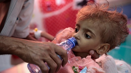 Ramadhan in Yemen: World Food Programme aid rots as millions grapple with hunger