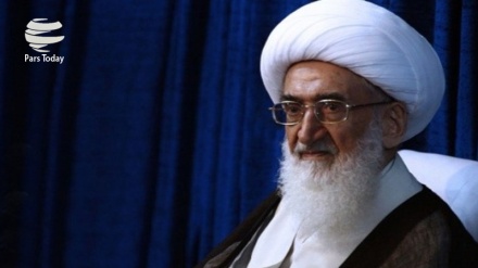 Proclamadores de DDHH son creadores de terroristas