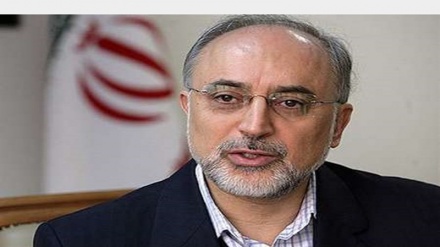 Salehi:Eýranyň ýadro senagaty gudrat bilen öňe barýandyr