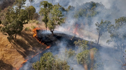  آتش زدن روستایی در غرب یمن توسط مزدوران سعودی