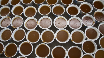 मर्कज़ी प्रांत में मशहूर ईरानी हल्वा (समनु) का फ़ैस्टिवल