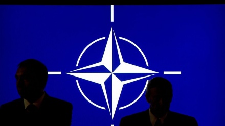 11 Negara Menentang Keanggotaan Ukraina di NATO
