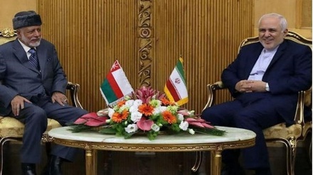 Top Iranian, Omani diplomats meet in Tehran