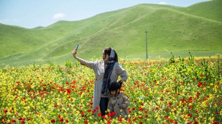 Keindahan Alam Golestan pada Musim Semi 