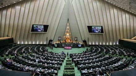 Парламент согласился предоставить гражданство детям иранских женщин