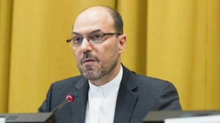 هشدار سفیر ایران در بروکسل نسبت به احیای گروه تروریستی و تکفیری داعش