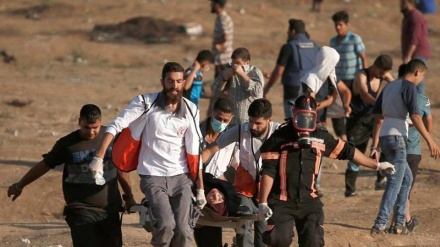 ガザ地区の平和的なデモ、イスラエル軍の銃撃で１名殉教、３０人負傷　（動画）