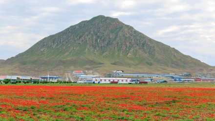 Keindahan Alam di Zona Bebas Aras 