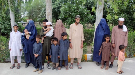 په ننګرهارکی په داعش پورې تړلې دوه پاکستانۍ کورنۍ نیول شوی
