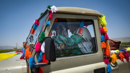 क़शक़ाई क़बीले में पारंपरिक विवाह के दुर्लभ पल 