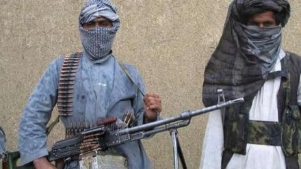 هلاکت هشت عضو طالبان در حملات ارتش افغانستان 