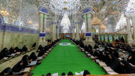 Tadarus di Kompleks Imam Ali as di Najaf (2)