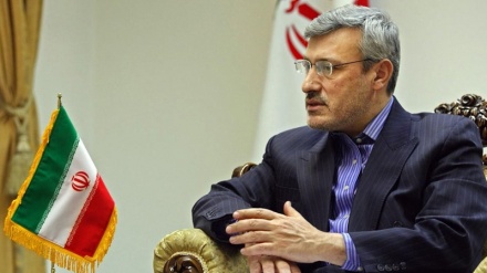 “Irán no busca guerra pero está listo para resistir ante EEUU”