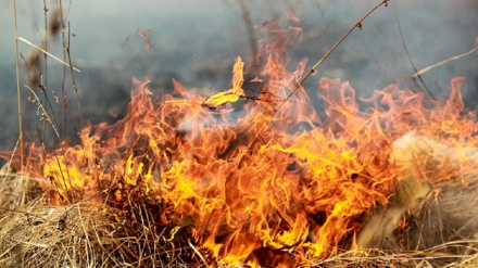 Australian PM denies climate policies led to bushfires