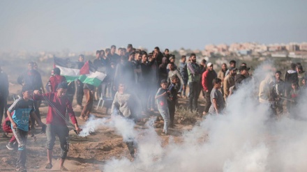 304 palestinezë të martirizuar që nga fillimi i protestave të gjera për të drejtën e kthimit