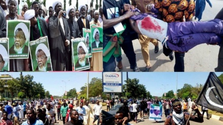 Nijerya'da ordu güçleri Şeyh Zakzaki taraftarlarına ateş açtı