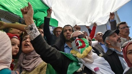 Algeria army chief offers dialogue to protesters