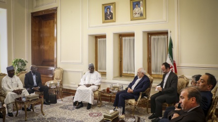 扎里夫：伊朗和尼日尔有许多可以扩大合作的领域