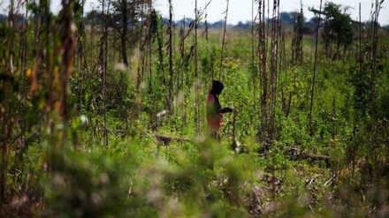 Bush fire guts four villages in South Sudan, kills 33