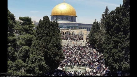 Shalat Jumat di Kompleks Masjid al-Aqsa