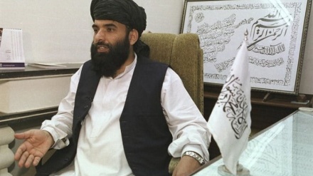 استقبال طالبان از تشکیل کارگروه جهانی برای مسائل افغانستان