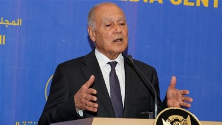 West Asia peace attempts in vain without Palestinian state: Arab League chief