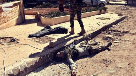 Vriten me dhjetëra terroristë në provincën Hamah të Sirisë