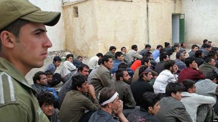 Artists' view on migration (3)