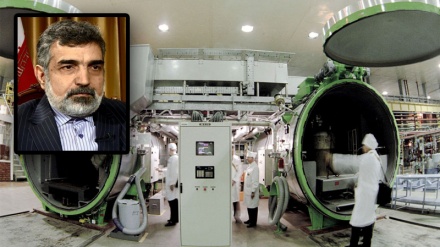 Kamalvandi: 10 Hari Mendatang Produksi Uranium Iran akan Lampaui 300 kg 